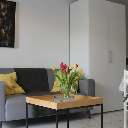 アパート Alma, Face Aux Thermes *